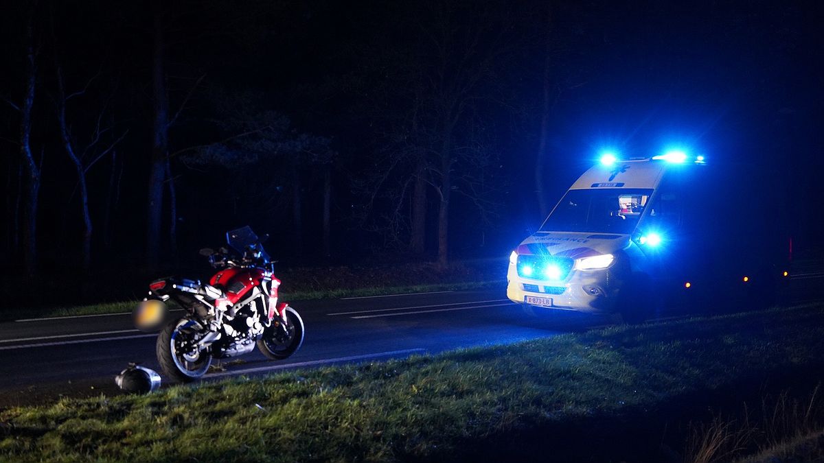 Motor botst op hert: motorrijder ongedeerd, hert komt om