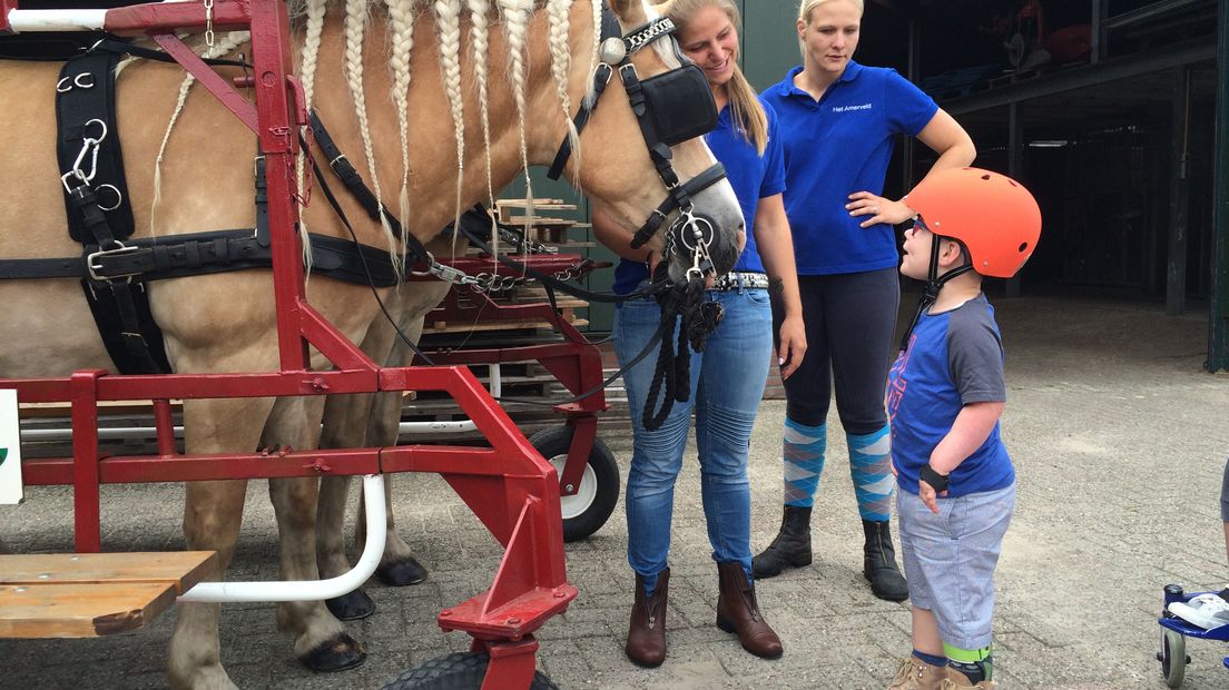 De vijfjarige Joep zegt de paarden gedag (Rechten: Marjolein Knol/RTV Drenthe)