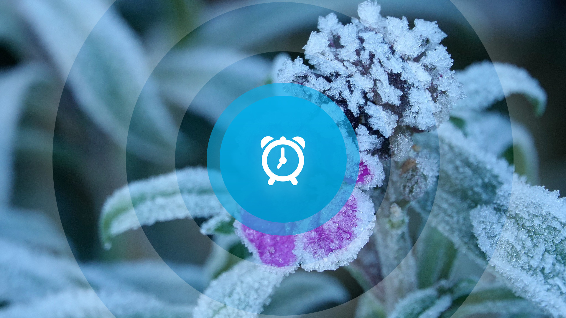 Goedemorgen! Locatie AED, auto in voortuin en 250 huisartsen