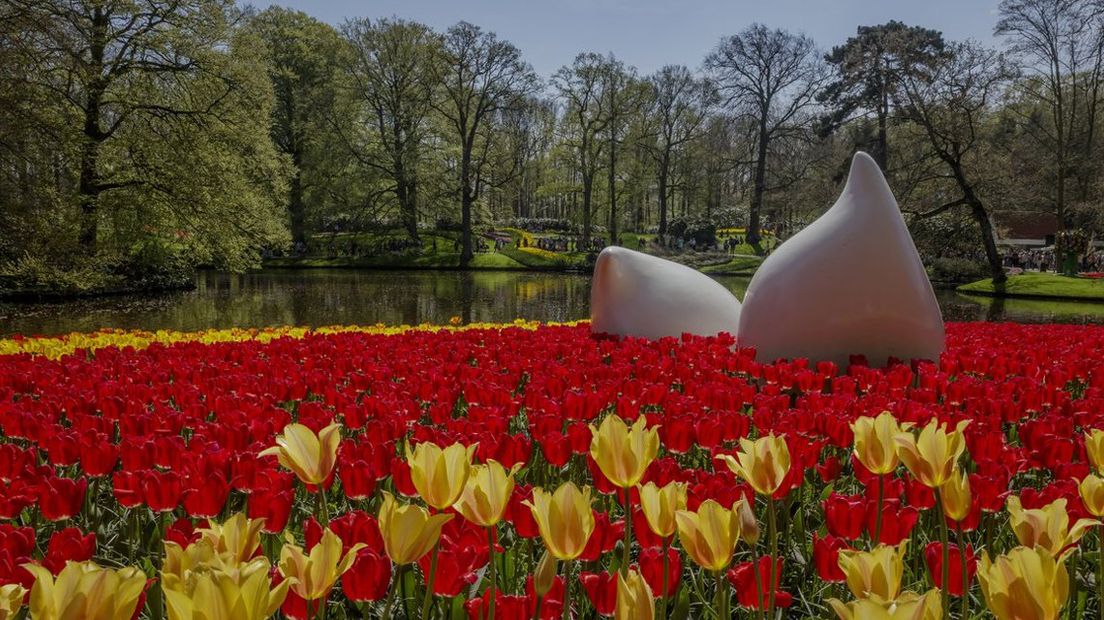 De Keukenhof in volle bloei