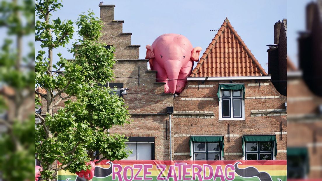 Een grote roze olifant op de daken in Goes