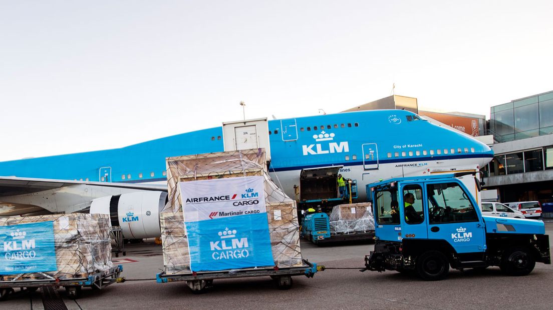T-rex aangekomen op Schiphol 