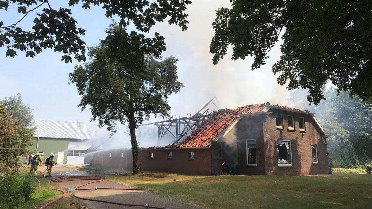 Boerderij brandt volledig uit; paarden ternauwernood gered