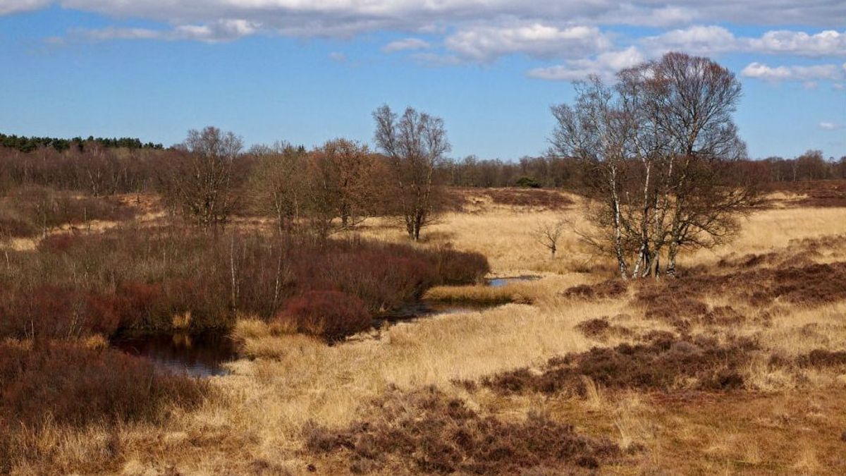 Op pad in de Drentse natuur: Gasteren en Eext