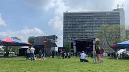 Bevrijdingsfestival Roermond: 'Dit jaar lukt het nog net'