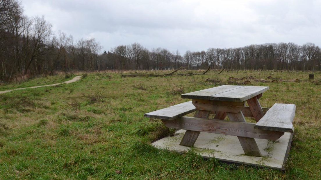 Een picknickbankje staat eenzaam in het park waar bijna niets wil groeien (Rechten: archief RTV Drenthe)