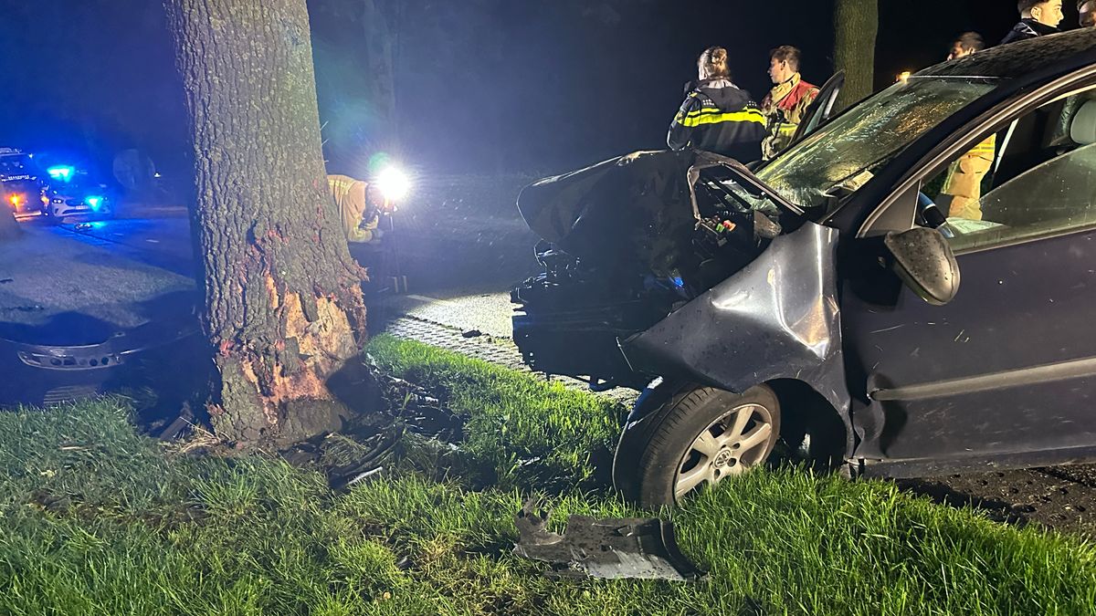 Auto botst tegen boom in Vredepeel: bestuurder gewond