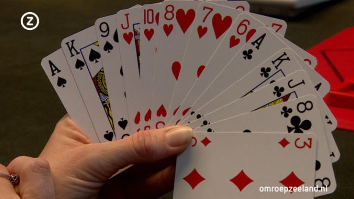 De bridgeclub Zierikzee viert feest: 50-jarig bestaan én meer leden