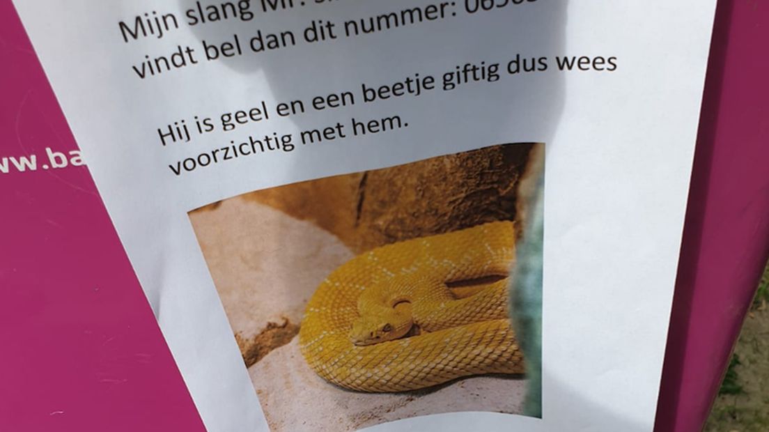 Opsporingsbericht Nieuwegein zorgt voor boze reacties bij slangenexperts.