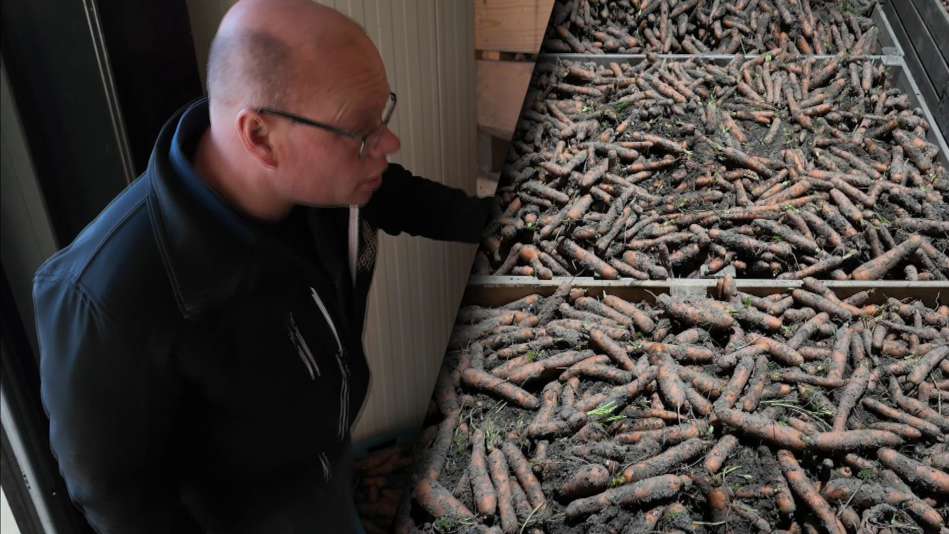Boer Bram heeft 300.000 kilo wortels waar hij niet van af kan komen