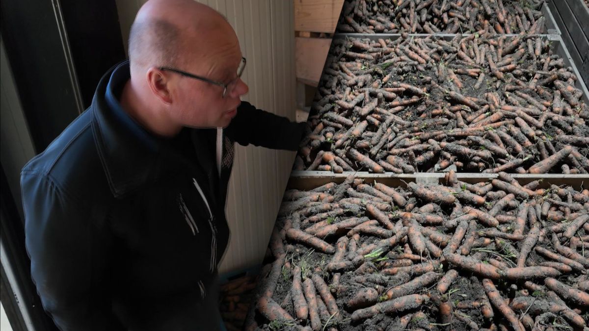 Boer Bram heeft 300.000 kilo wortels waar hij niet van af kan komen