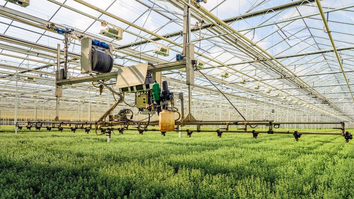 Bayer in Nunhem investeert miljoenen in nieuwbouw