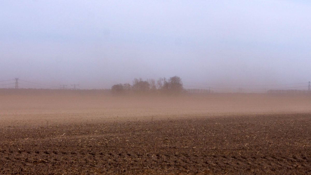 Boeren lijden schade door droogte en harde oostenwind