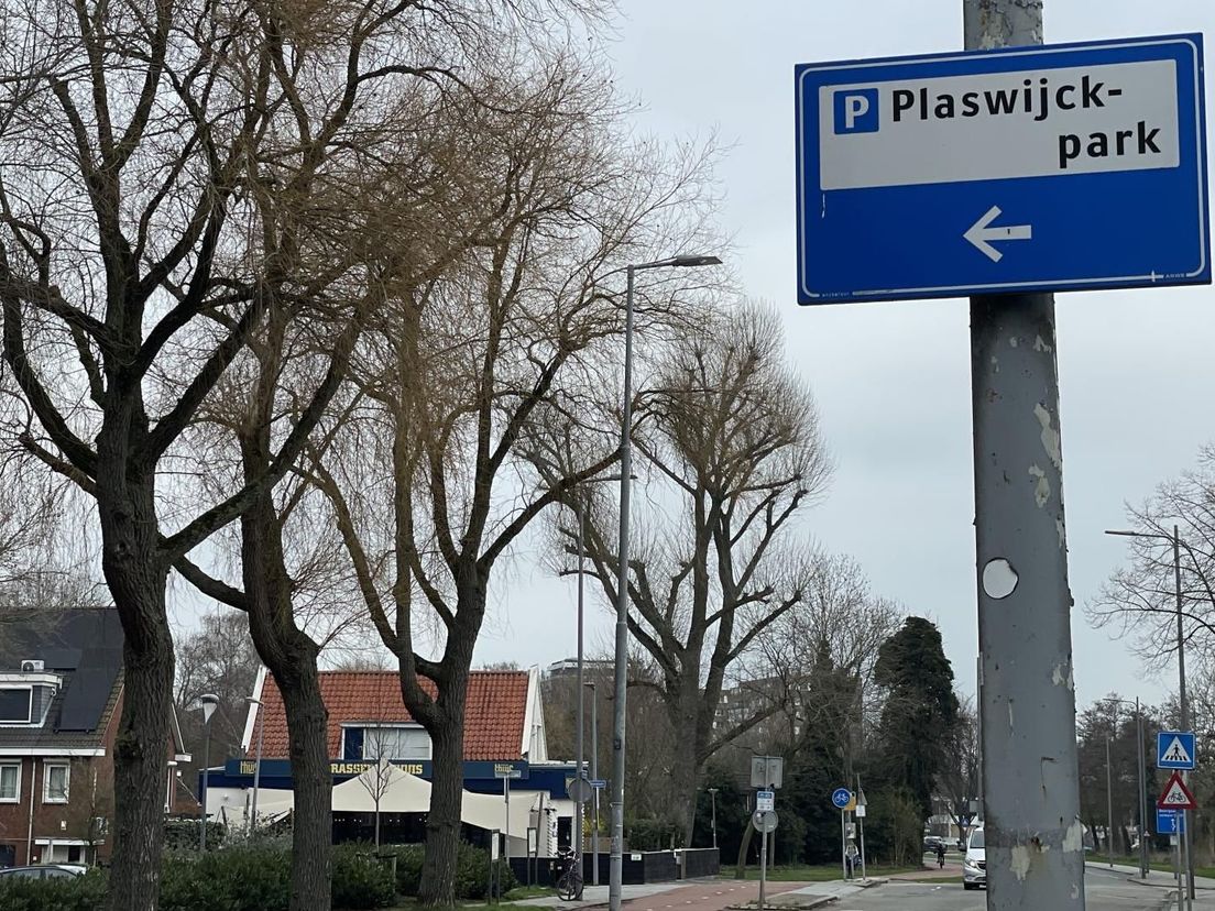 Parkeren bij Plaswijckpark
