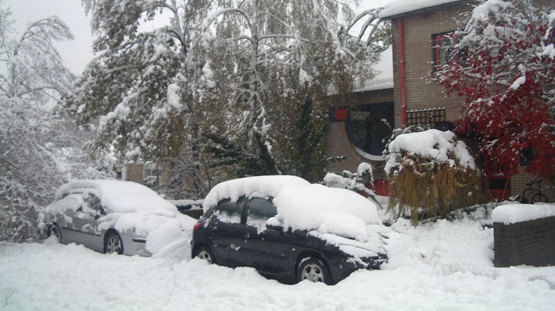 Op veel plekken moesten auto's worden uitgegraven, zo veel sneeuw viel er