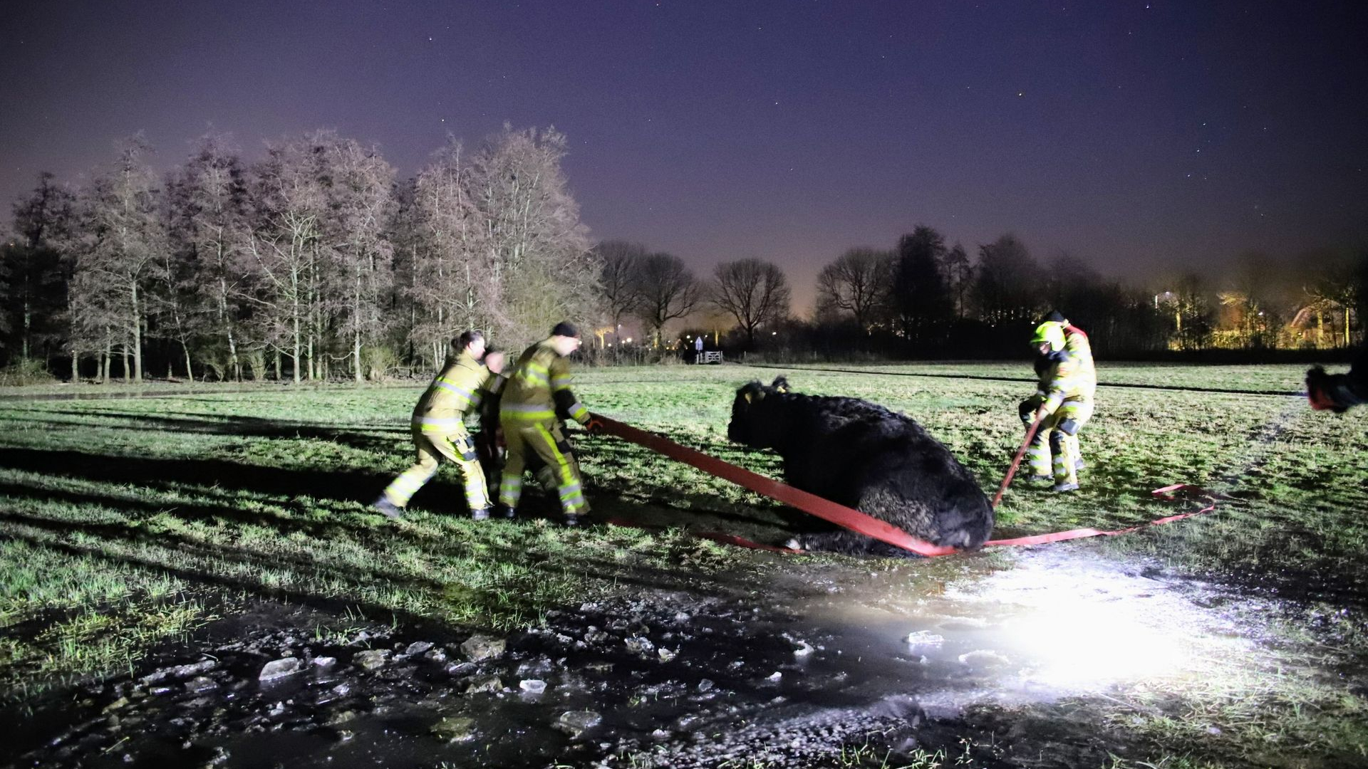 Rund Vast In Ijs • Voetganger Aangereden - Omroep Gelderland