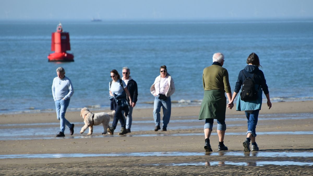 Warmste februaridag ooit gemeten in Zeeland; thermometer in Westdorpe meet ruim 19 graden