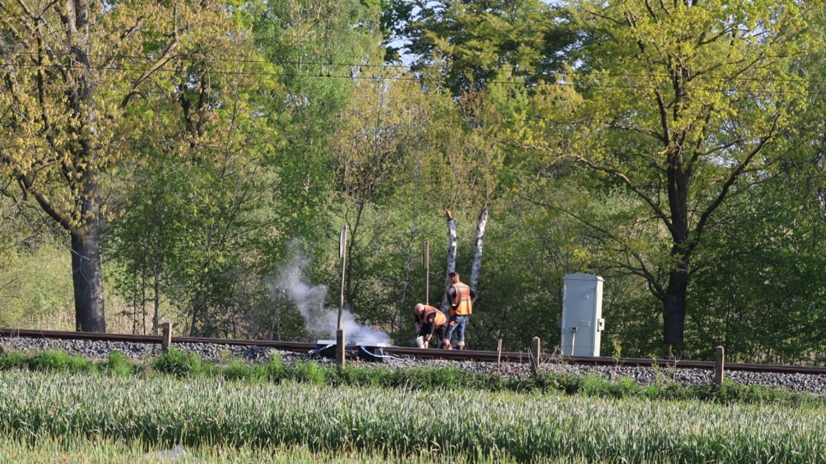 Bies in brand onder het spoor in America, goederentrein rijdt ree aan