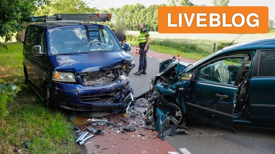 gewonden bij frontale botsing • ree dood na aanval honden. gewonden bij frontale botsing • ree dood na aanval honden.