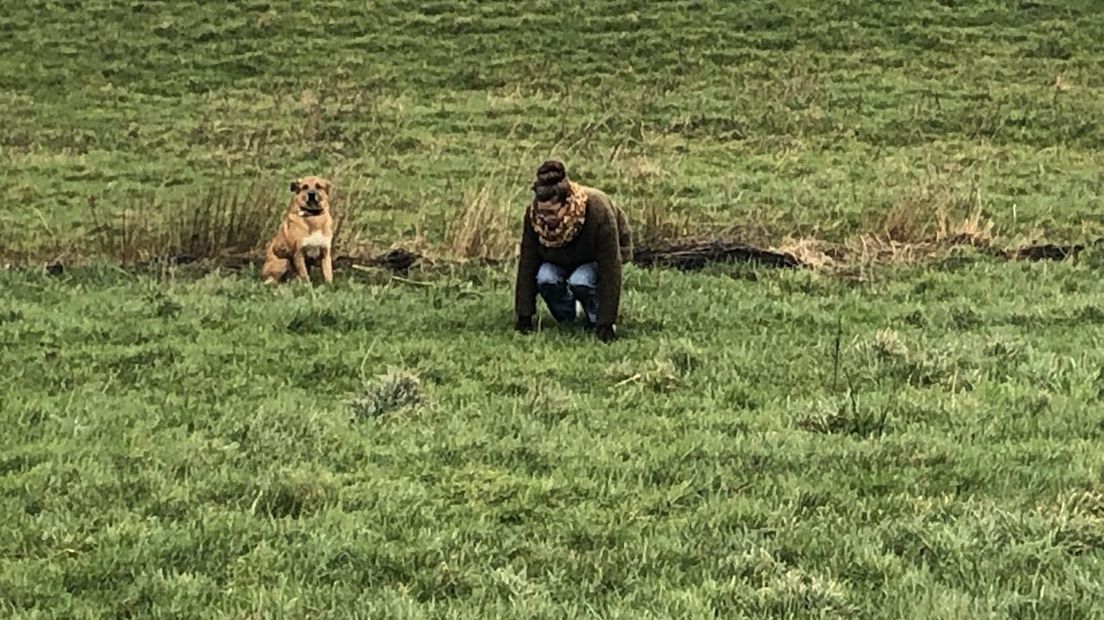 Een vrouw probeert voorzichtig het weggelopen hondje te benaderen