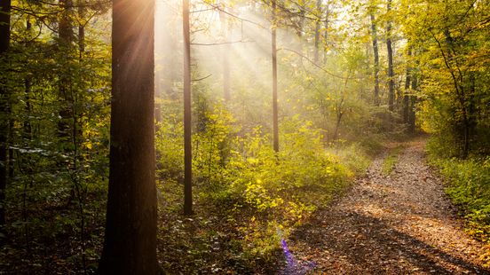 Wandelgebied afgesloten vanwege onveilige situatie Home