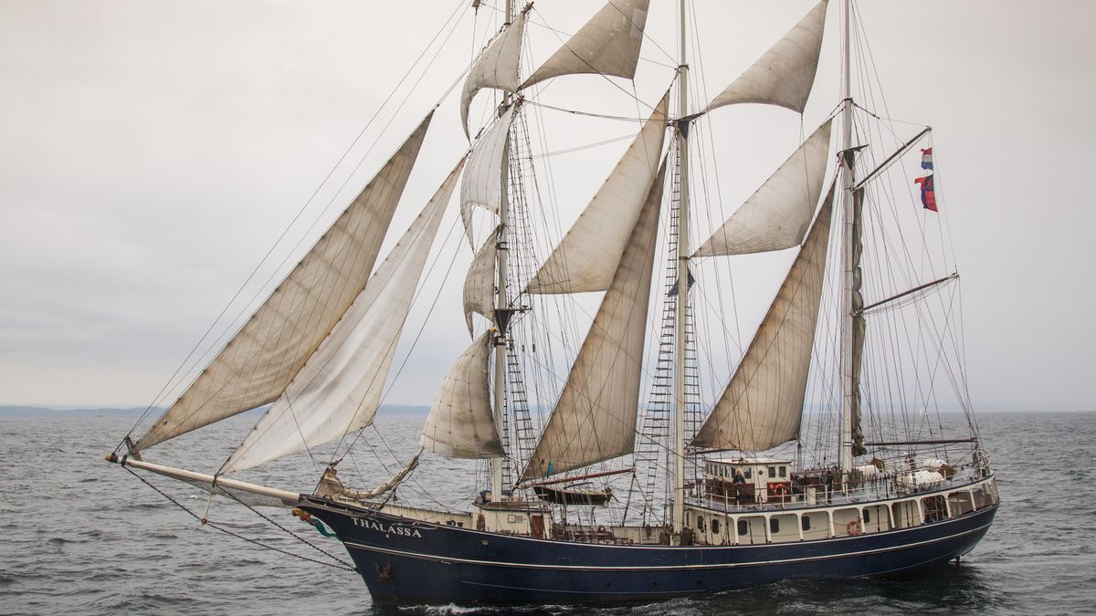 Tallship Thalassa betrokken bij aanvaring bij Sail Antwerpen