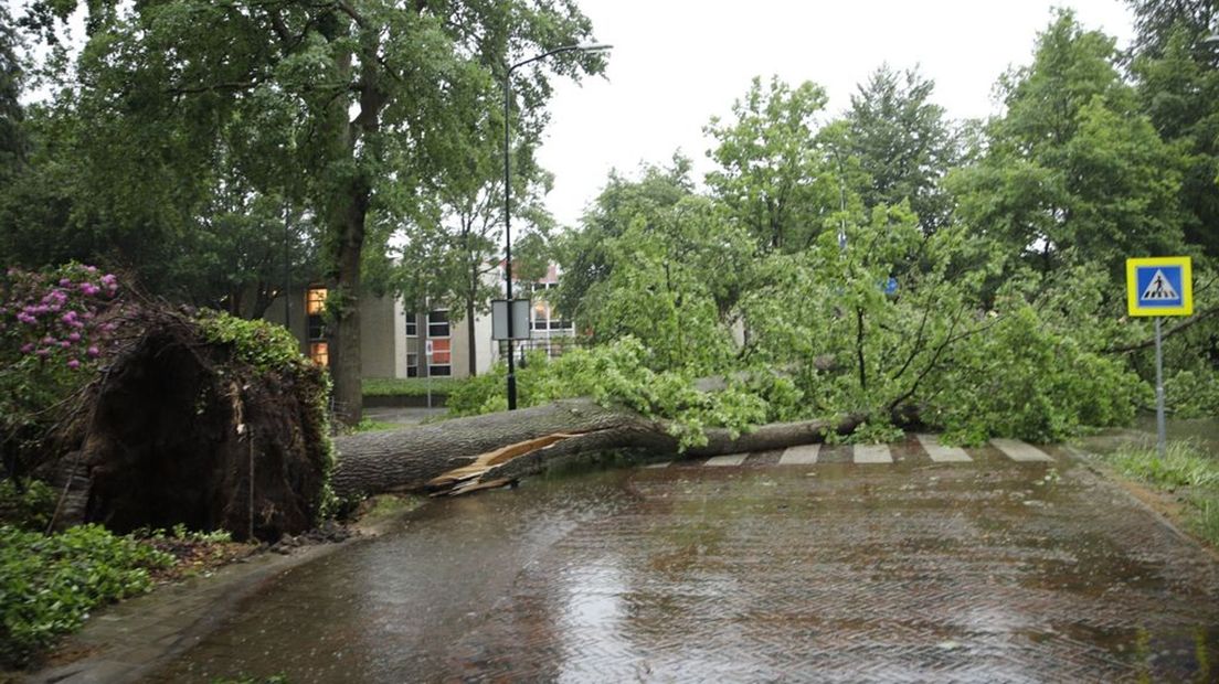 In Beekbergen vielen meerder bomen op de weg.