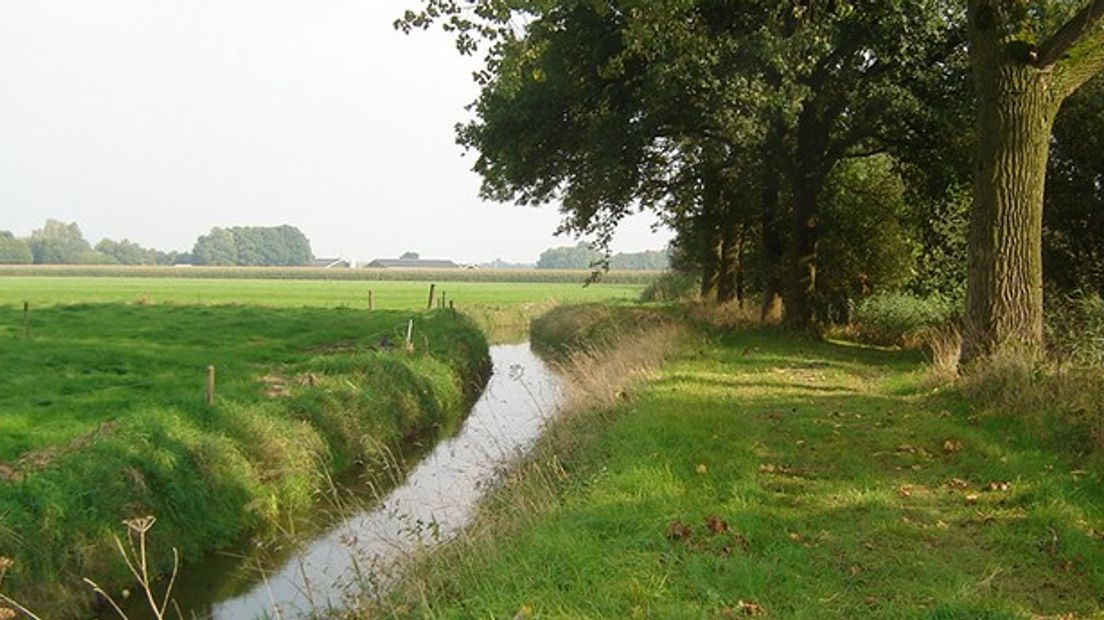 Het is de week van het Landschap en dus volop activiteiten in de Gelderse natuur. Geldersch Landschap & Kasteelen en Landschapsbeheer Gelderland hebben een vol programma met activiteiten voor jong en oud. Van brunches tot aan knutselmiddagen. Hier vindt u een overzicht van de activiteiten: