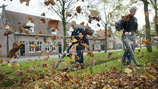 Laten liggen, harken, wegblazen? Wat te doen met herfstbladeren?