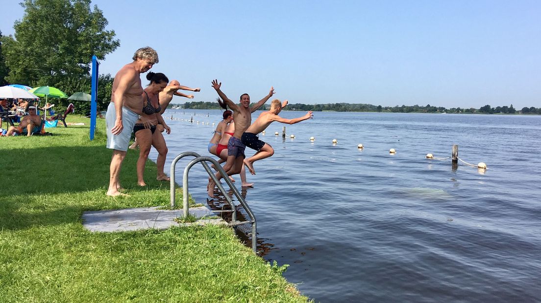 Plonsen in de Loosdrechtse Plassen