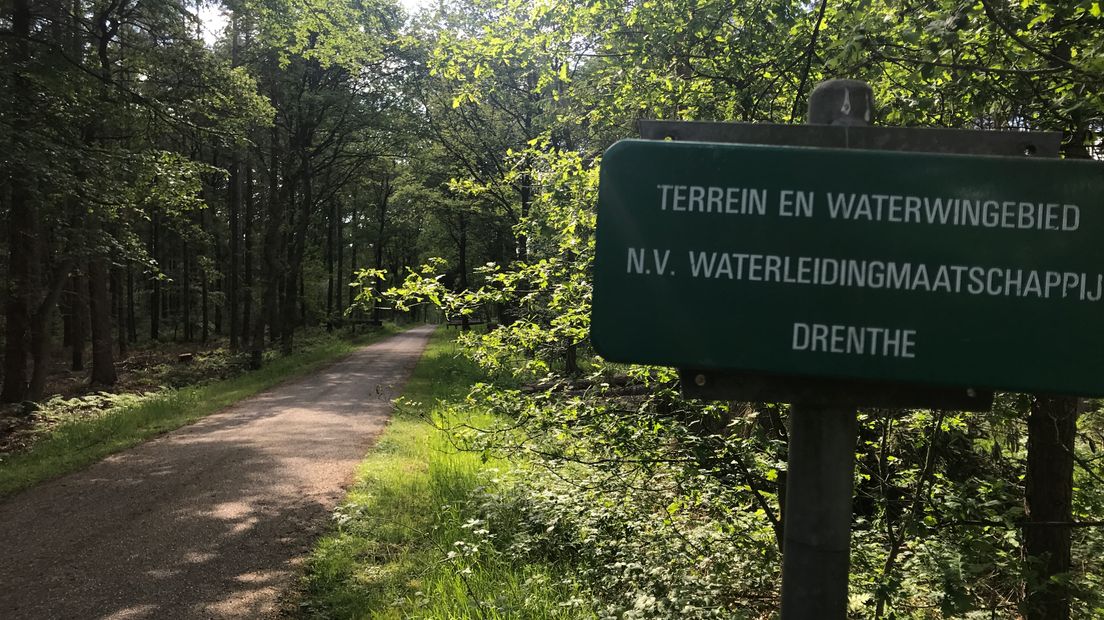 Het waterwingebied Gasselte en het bos, waaronder de grote zoutkoepel ligt (Rechten: RTV Drenthe / Margriet Benak)