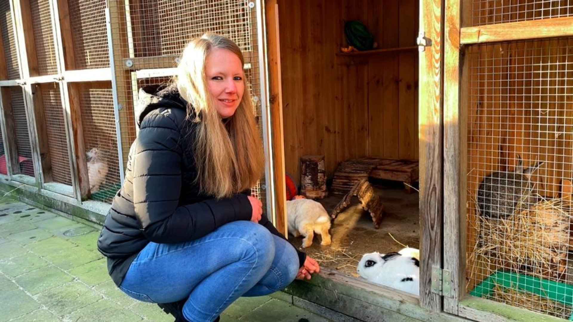 Een konijnenopvang in de achtertuin: 'Er zijn niet genoeg opvangplekken'