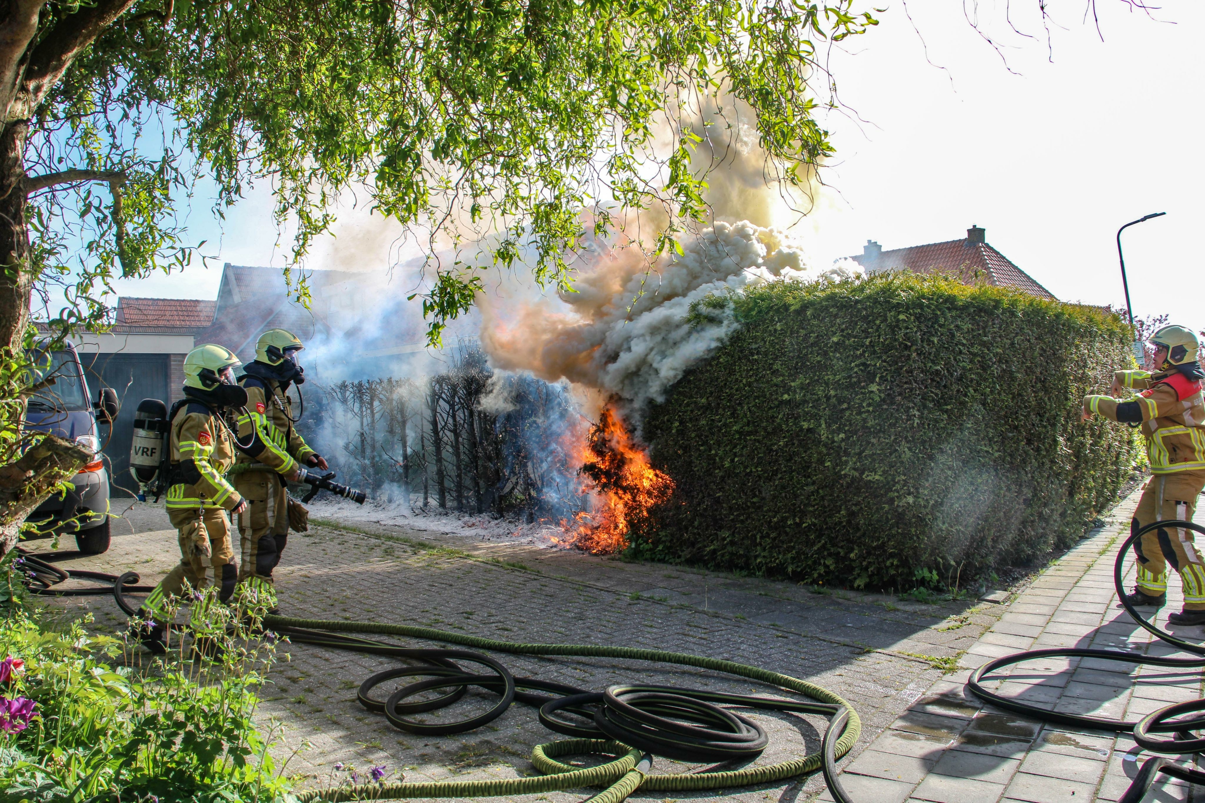 De brânwacht op lokaasje