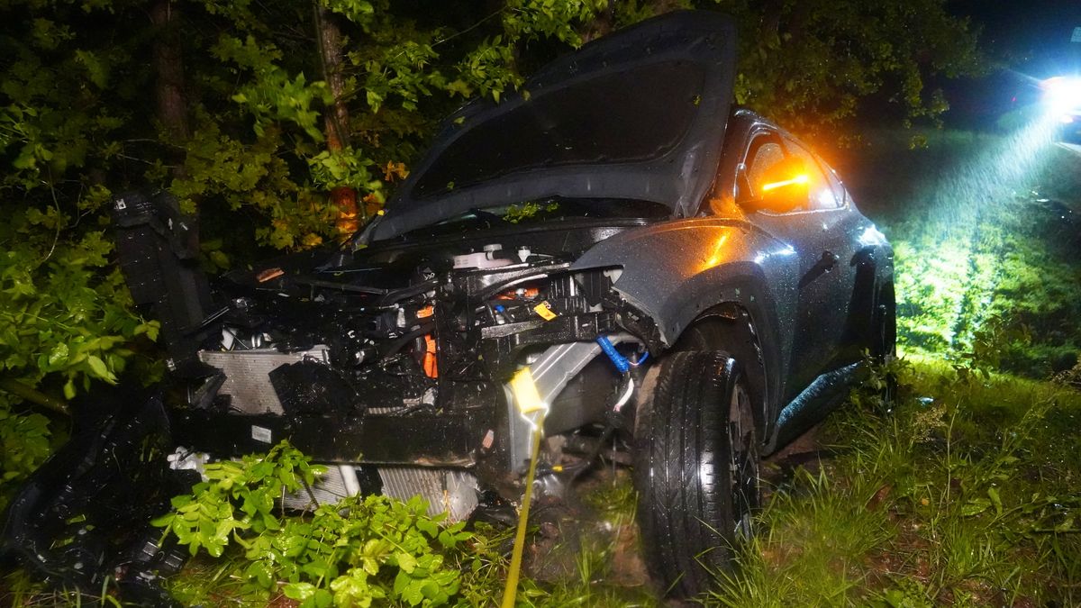 Bestuurder gewond nadat auto van de weg raakt
