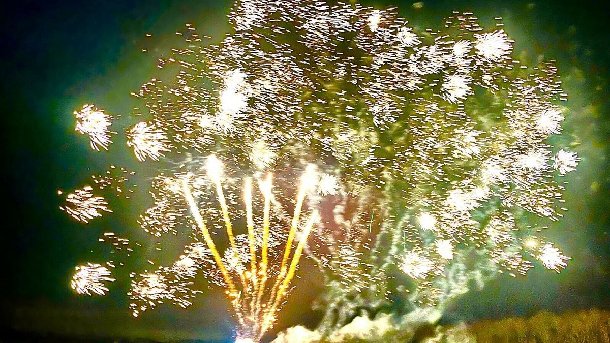 Auto met paardentrailer uitgebrand in Jubbega | 'Snoesje' van De Geitefok ontvoerd naar Hengelo