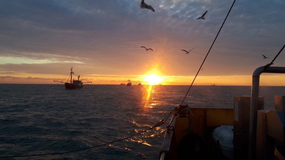 De zoektocht van de vissers tijdens de zonsopkomst