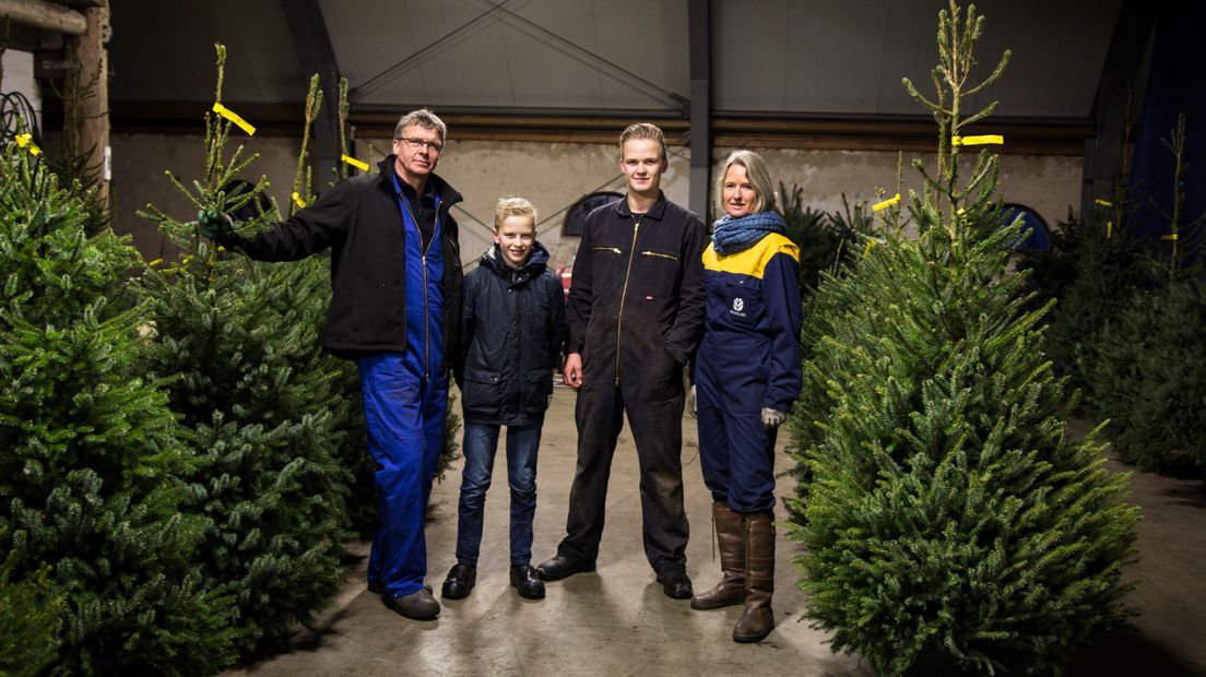De familie Boerma tussen hun kerstbomenhandel ik de schuur (Rechten: Robbert Oosting / RTV Drenthe)