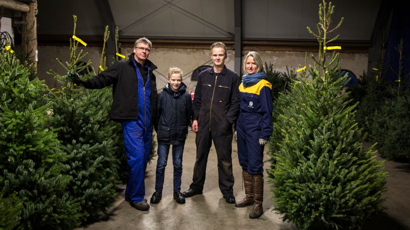 Ondernemend: Mensen zoeken de perfecte kerstboom - RTV Drenthe
