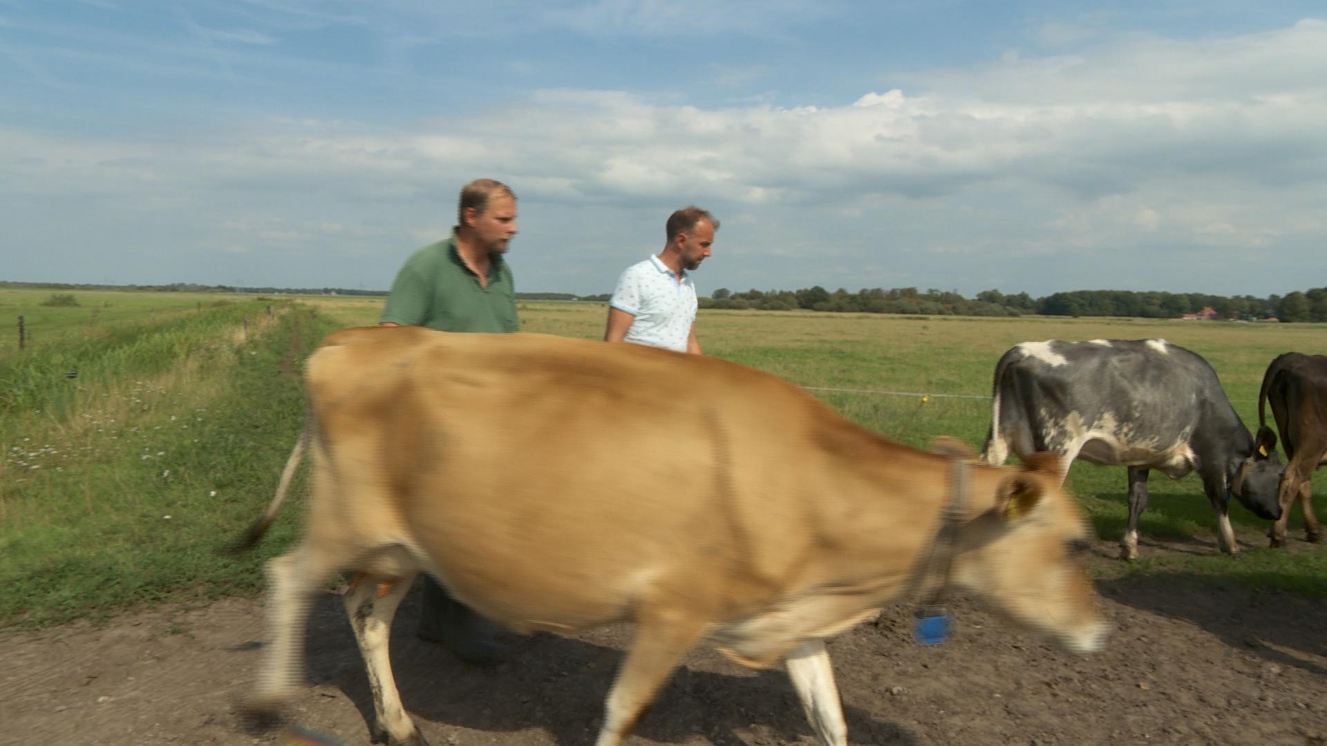 Bartele Holtrop yn bettere, simmerske tiden