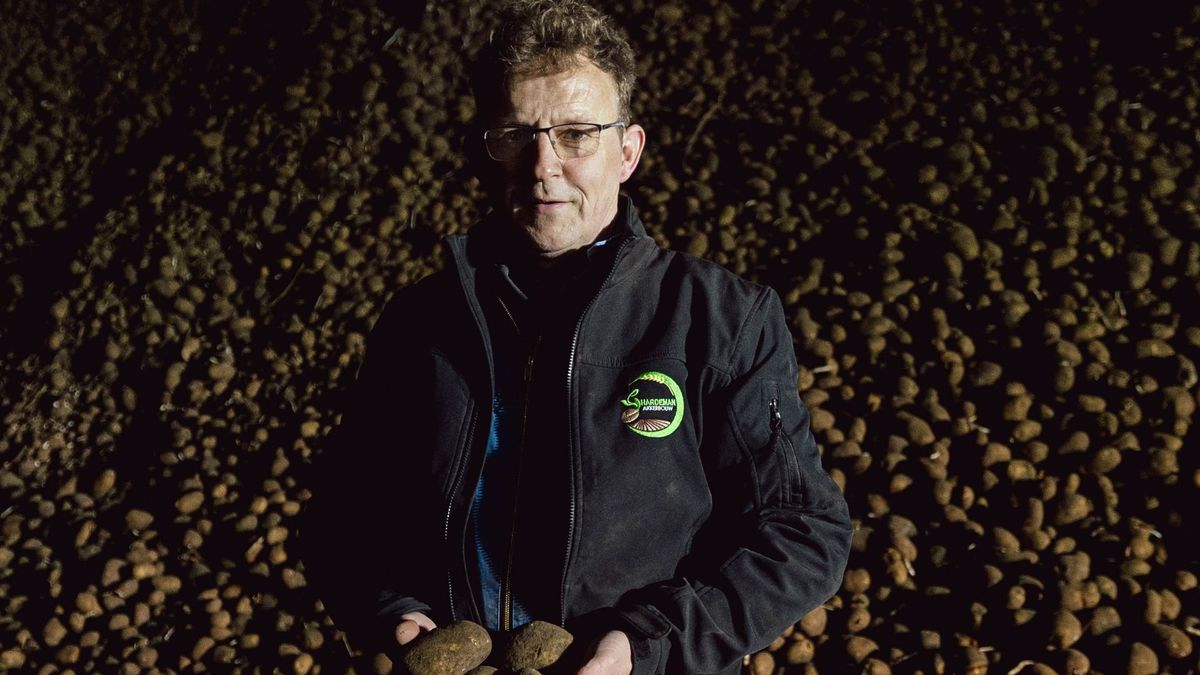 Bijna tienduizend bestellingen om de aardappelen van boer Richard te redden
