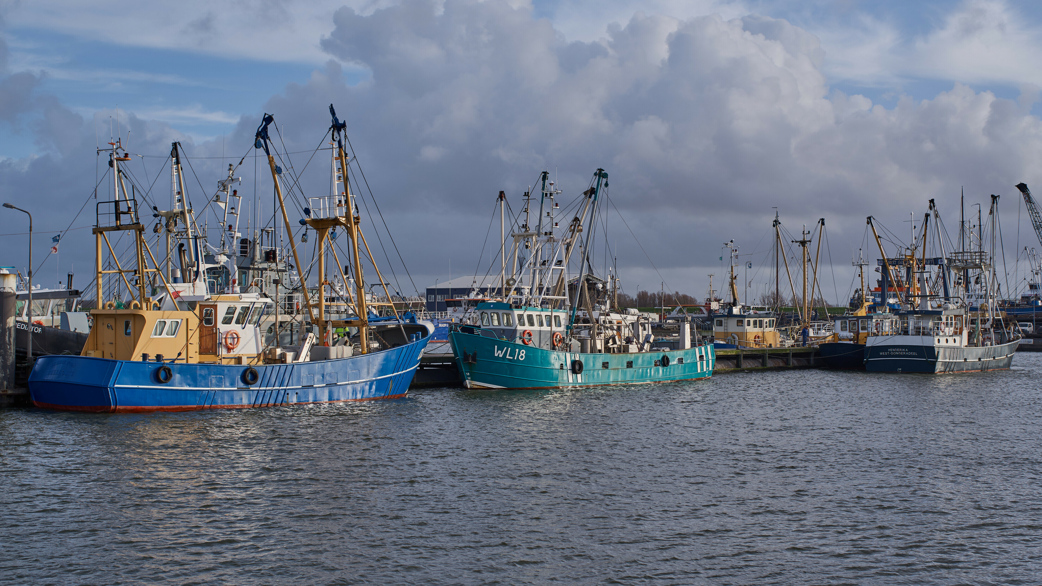 Garnalekotters yn de haven fan Lauwerseach