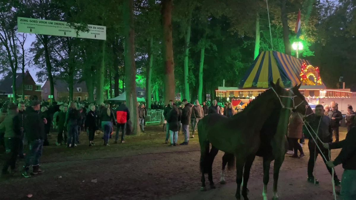 De 822ste Zuidlaardermarkt RTV Drenthe