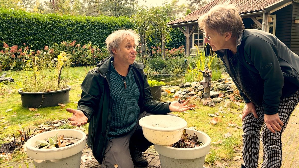Luc vindt bijzondere insecten in Maarn