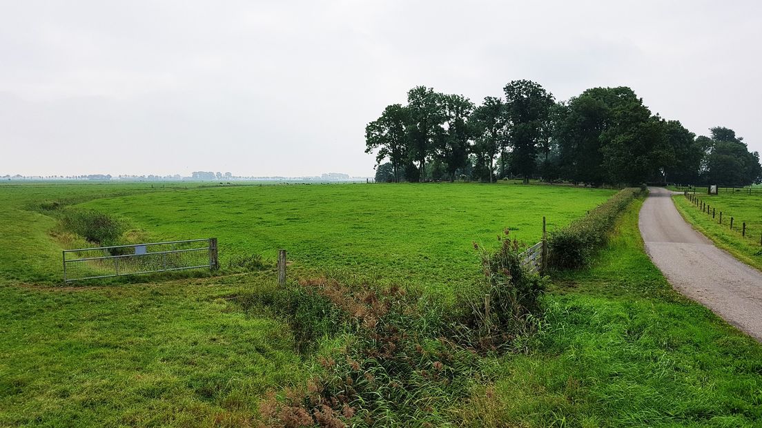 De locatie waar de nieuwe natuurbegraafplaats wordt gerealiseerd