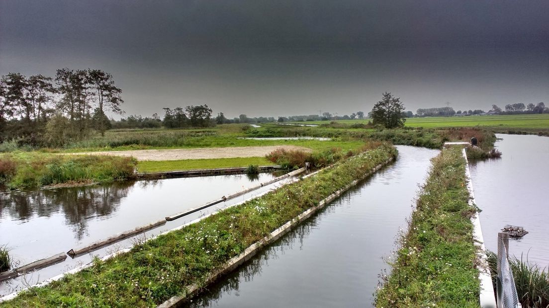 Het eco-aquaduct speciaal voor dieren is uniek in Nederland