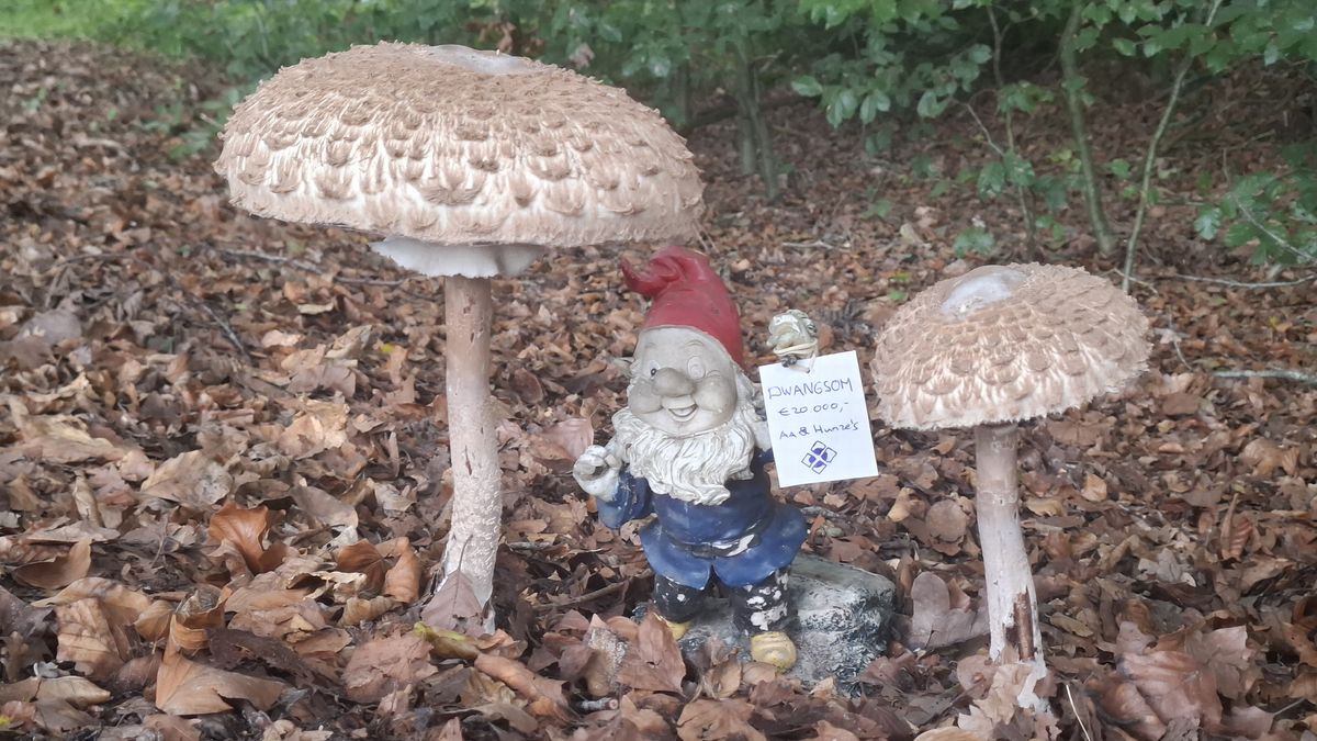 Zielig tafereel in Anloo: kabouter mag niet wonen in bos en krijgt dwangsom aan de broek