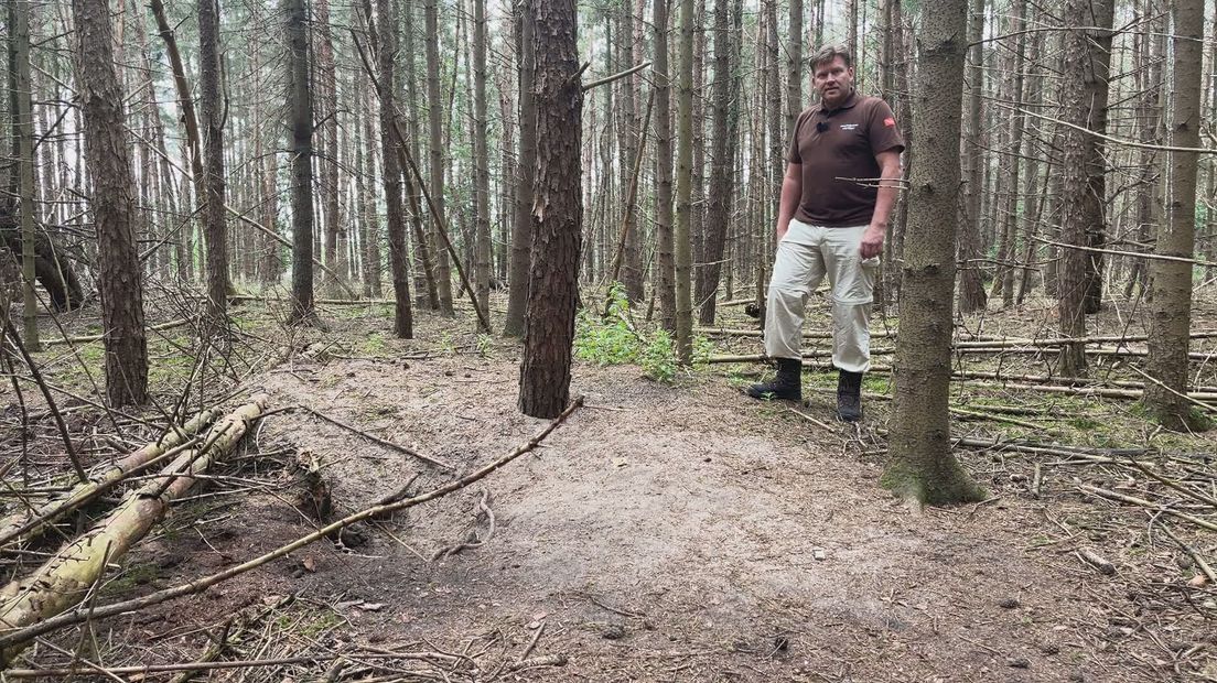 Harry Boerma bij dassenburcht