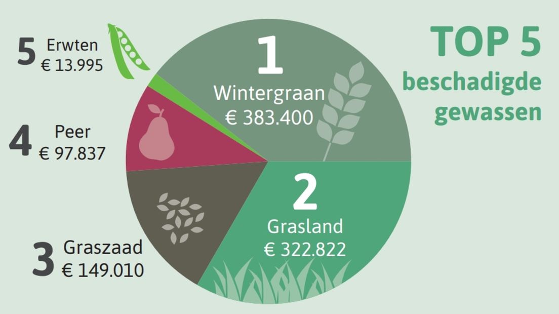 Top-5 beschadigde gewassen in Zeeland in 2020