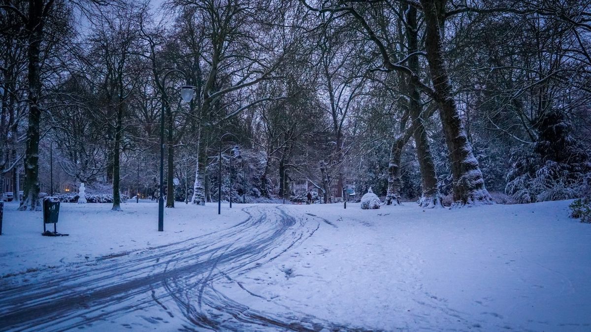 'We laten niemand in de kou staan': Winterkou treft daklozen in Groningen