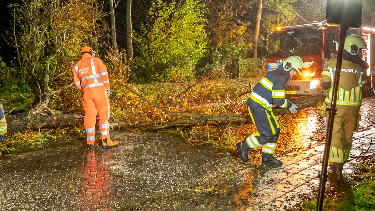 Storm Benjamin raast over Fryslân: bomen op de weg, zwaarste windstoot op Vlieland